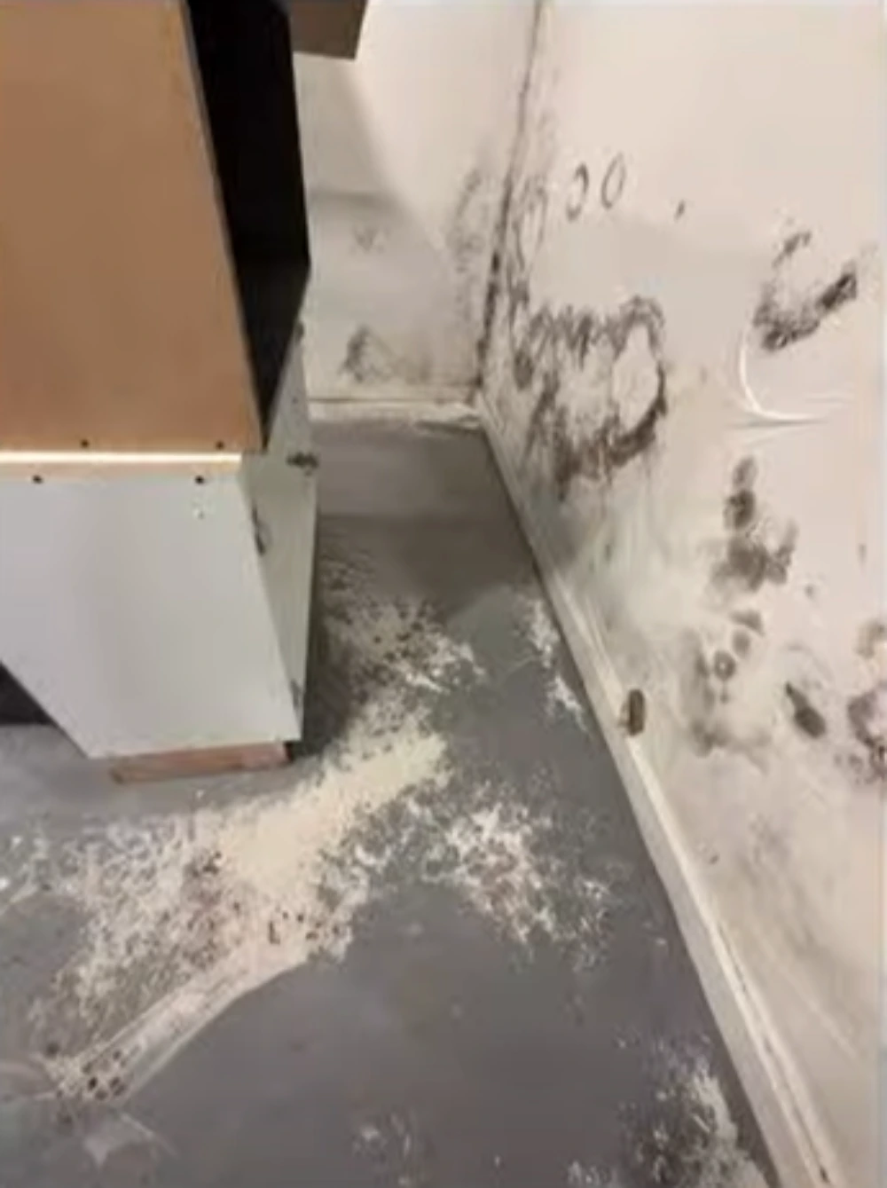 Hurricane Sandy Mold