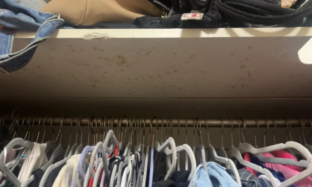 Mold on a closet ceiling on a cold exterior wall in winter