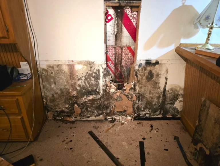Inwood Mold Remediation
