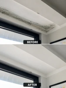 Inwood Mold Removal Before and After
