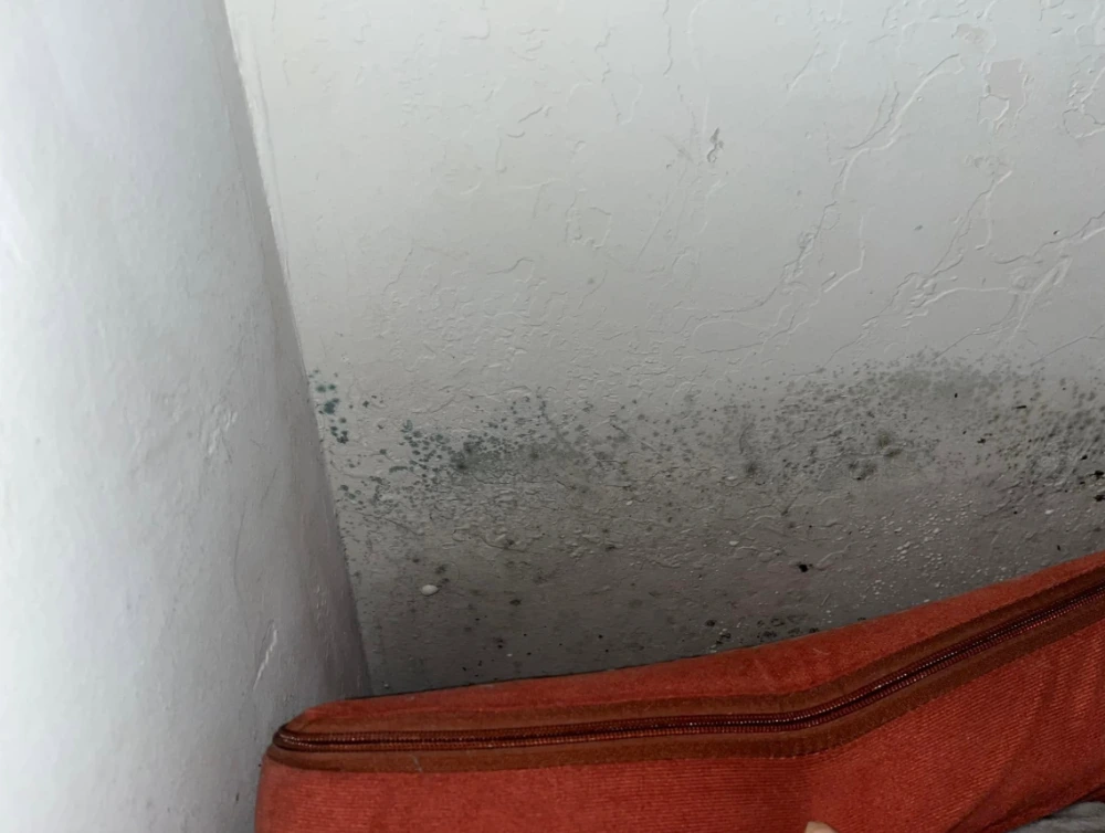 Inwood Mold Data