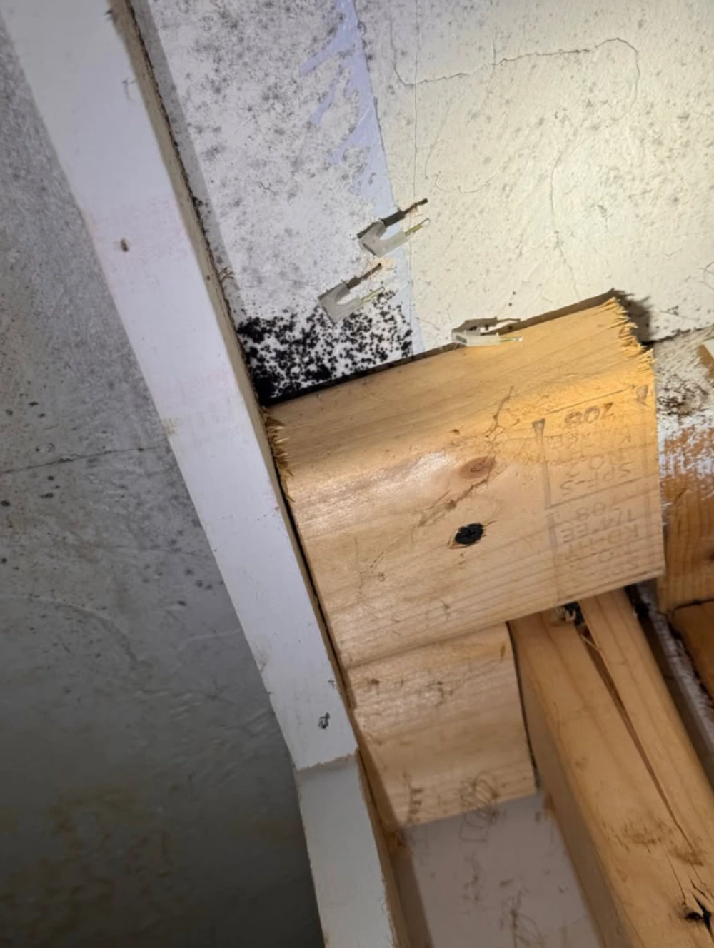Wall framing exposed after water-damaged, moldy material was removed