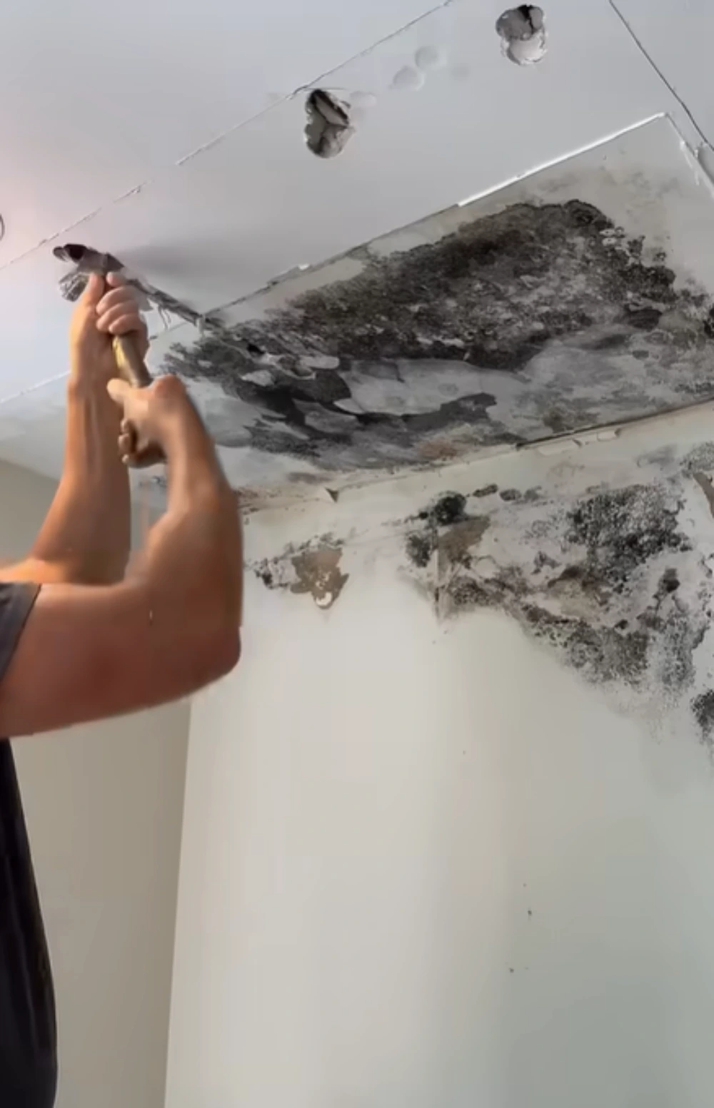 Mold remediation in progress - Seaman Avenue area, Inwood