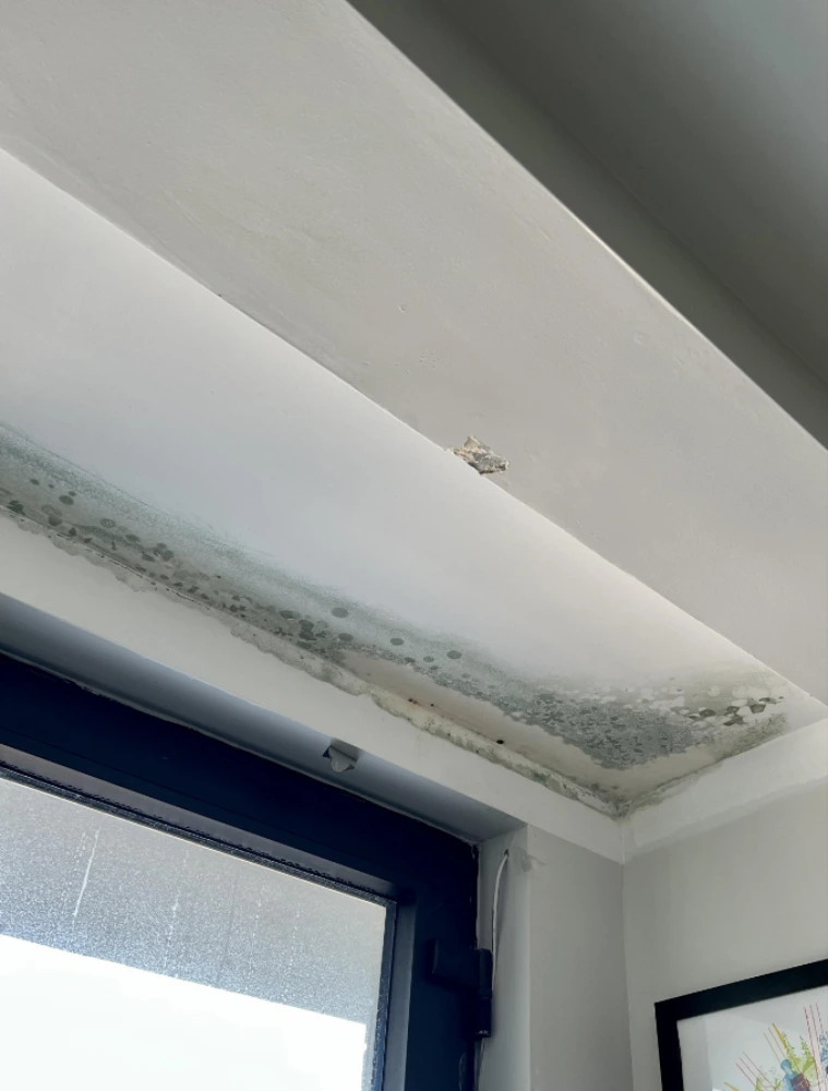 Mold growing along a window header where condensation collects