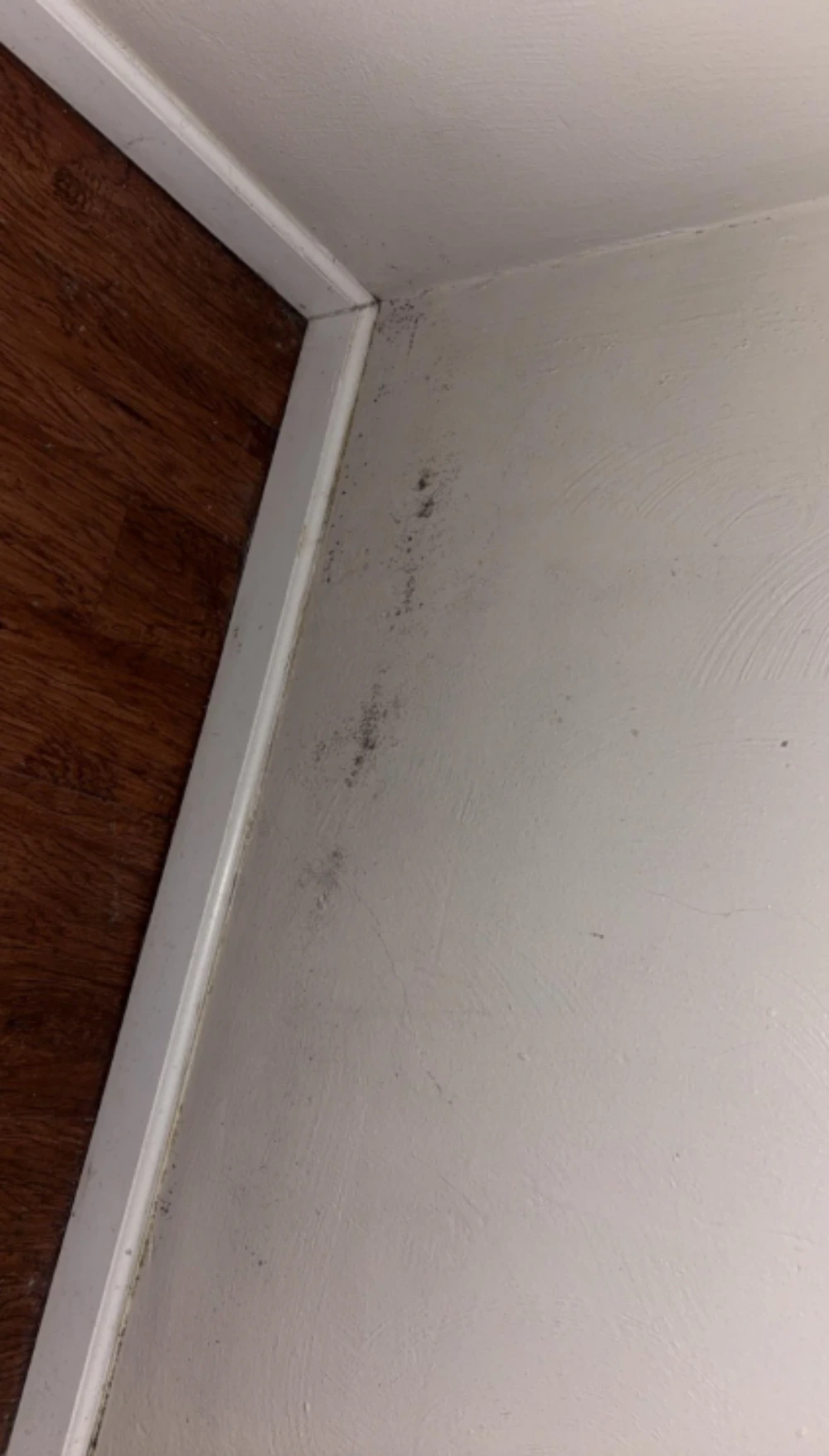 Article 32 mold law explained for Inwood Manhattan tenants