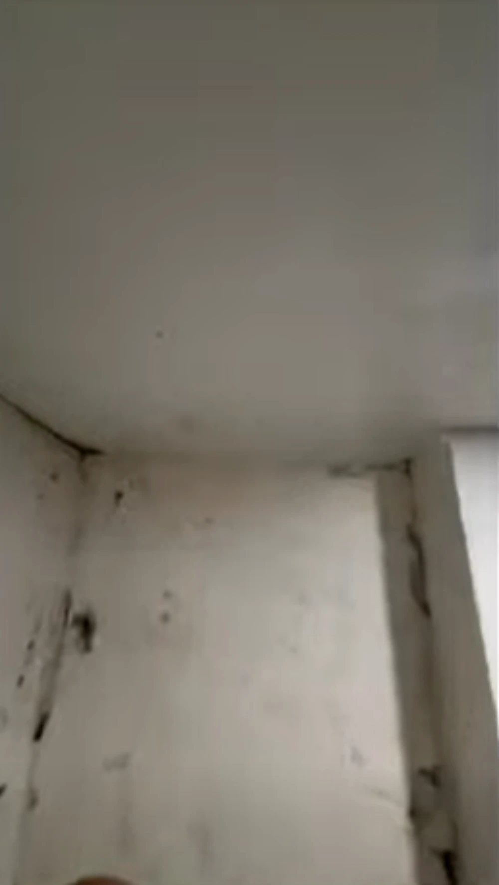 Kitchen cabinet mold remediation Inwood Manhattan